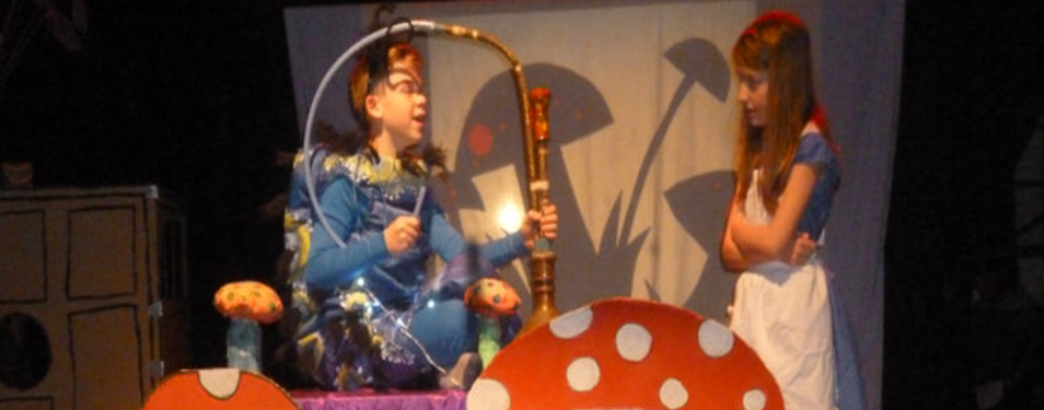 111banner4amandaweb-alice.png