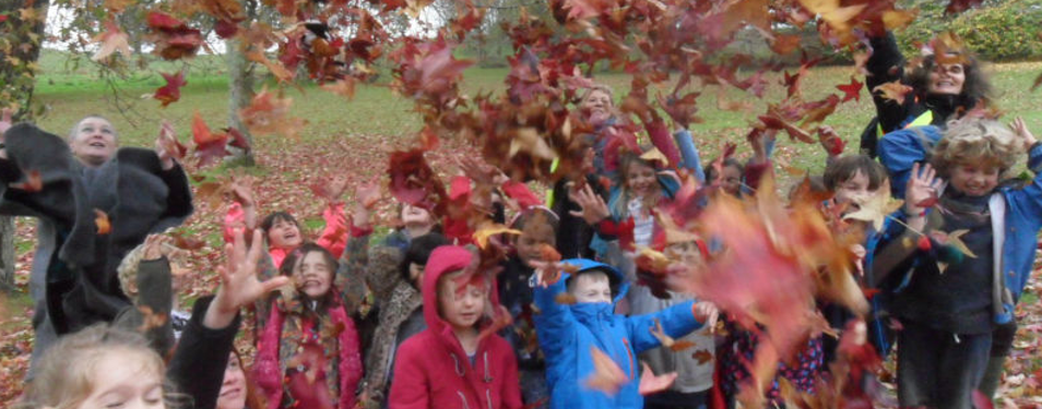 leaves.png