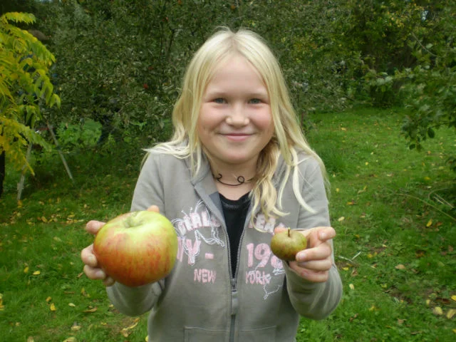 and apple day 2010 021-w640-h600.jpg