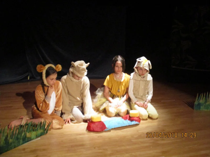 IMG_1482-w800-h600.jpg