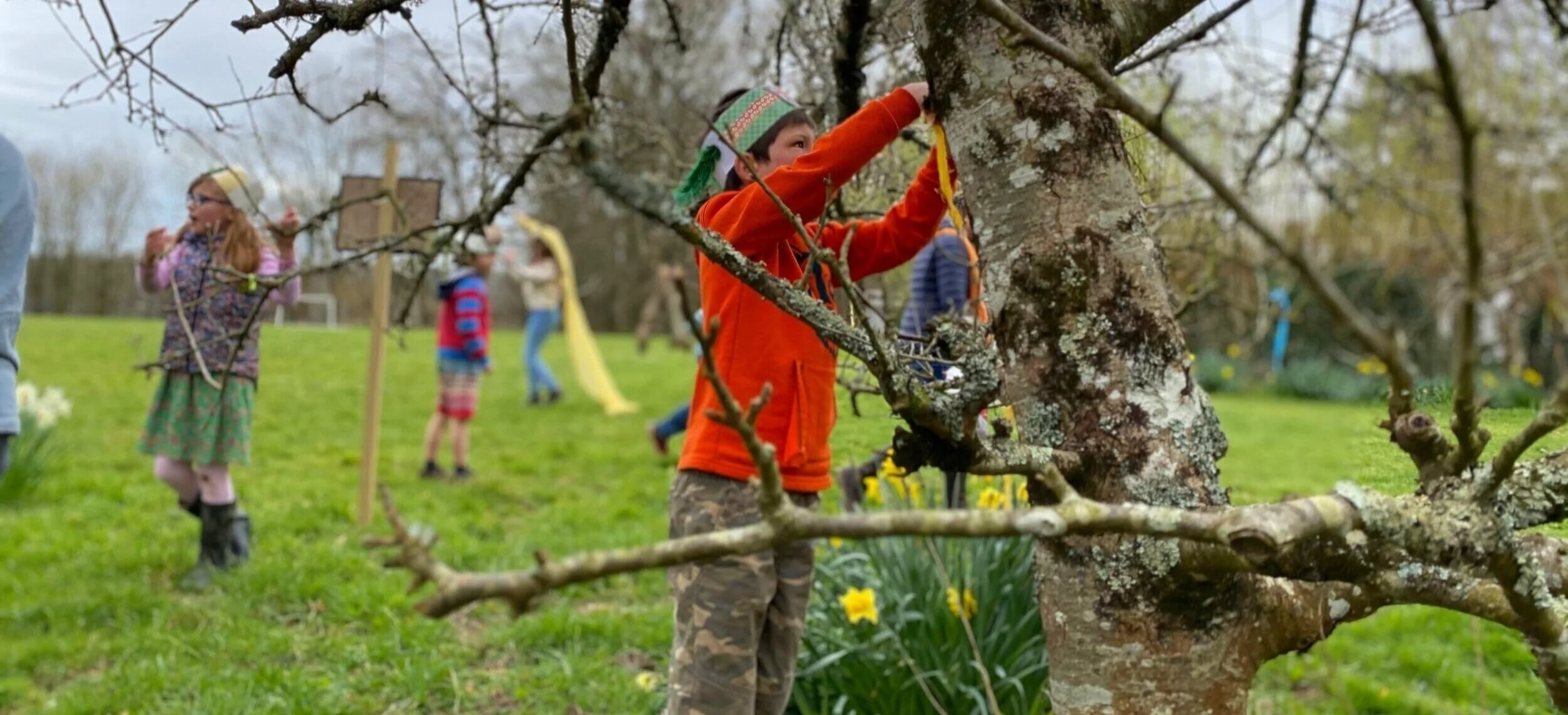 Introduction to Park School — Park School, Dartington