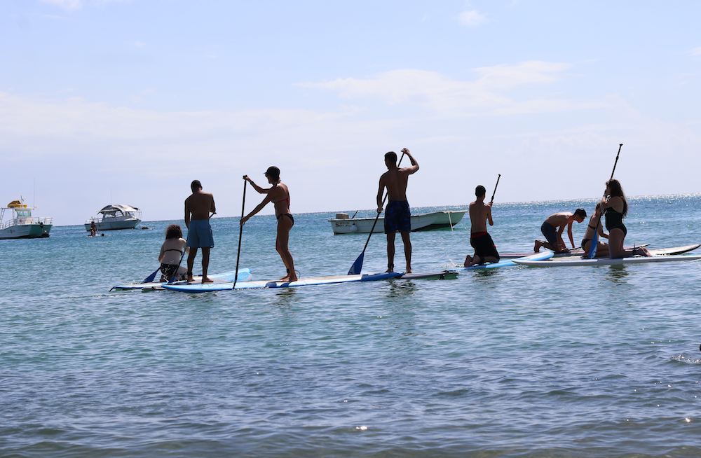 paddle board.png