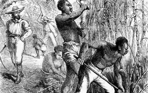 Image taken from:https://www.counterpunch.org/2015/12/18/how-slaves-built-american-capitalism/