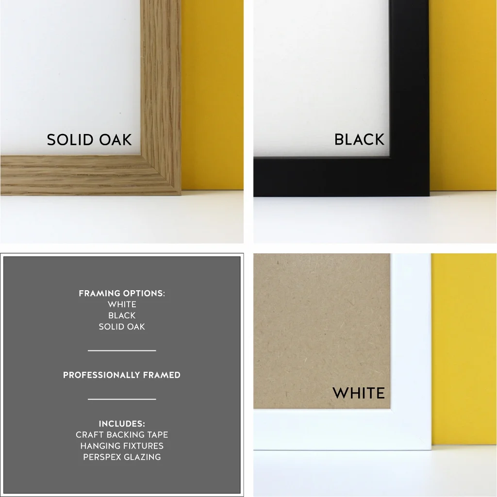 FRAMING OPTIONS (1024x1024).jpg