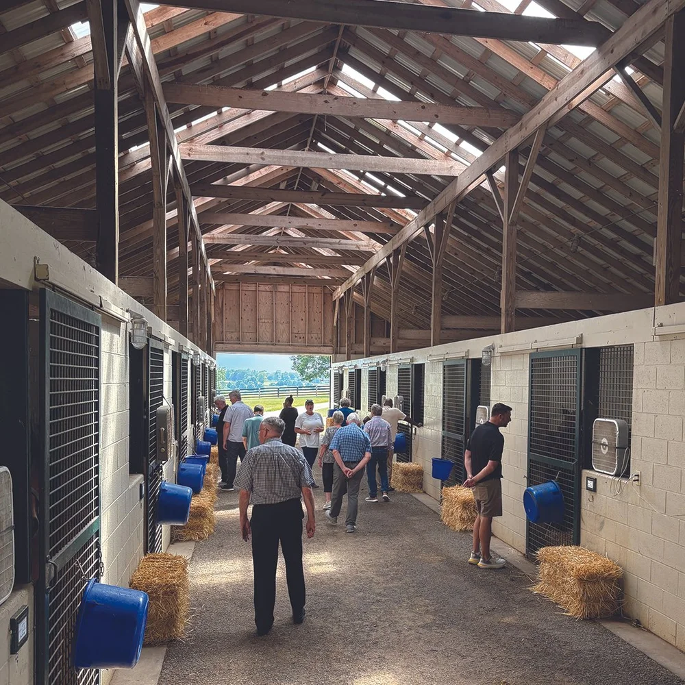 Board in Lex_0000s_0001_IMG_8458.jpg