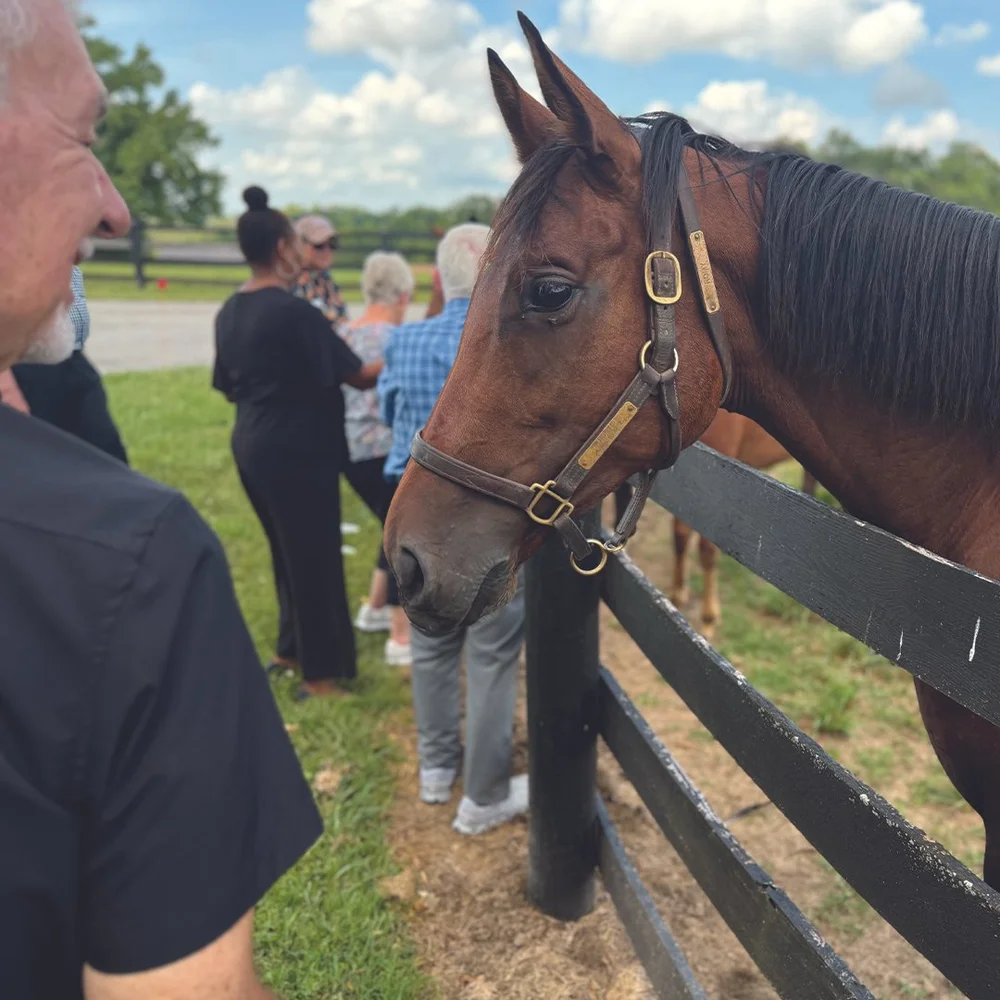 Board in Lex_0000s_0002_IMG_2561.jpg