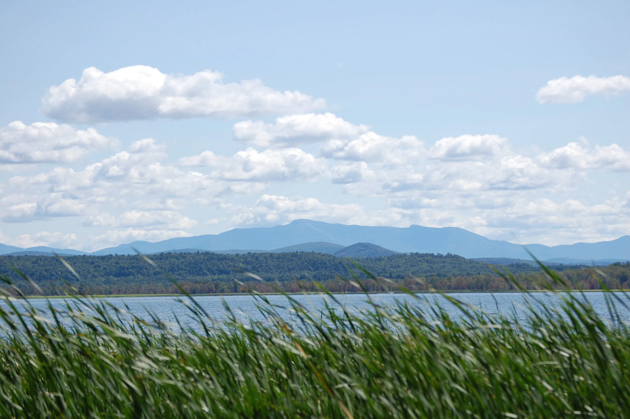 Buermann Hill (2006)