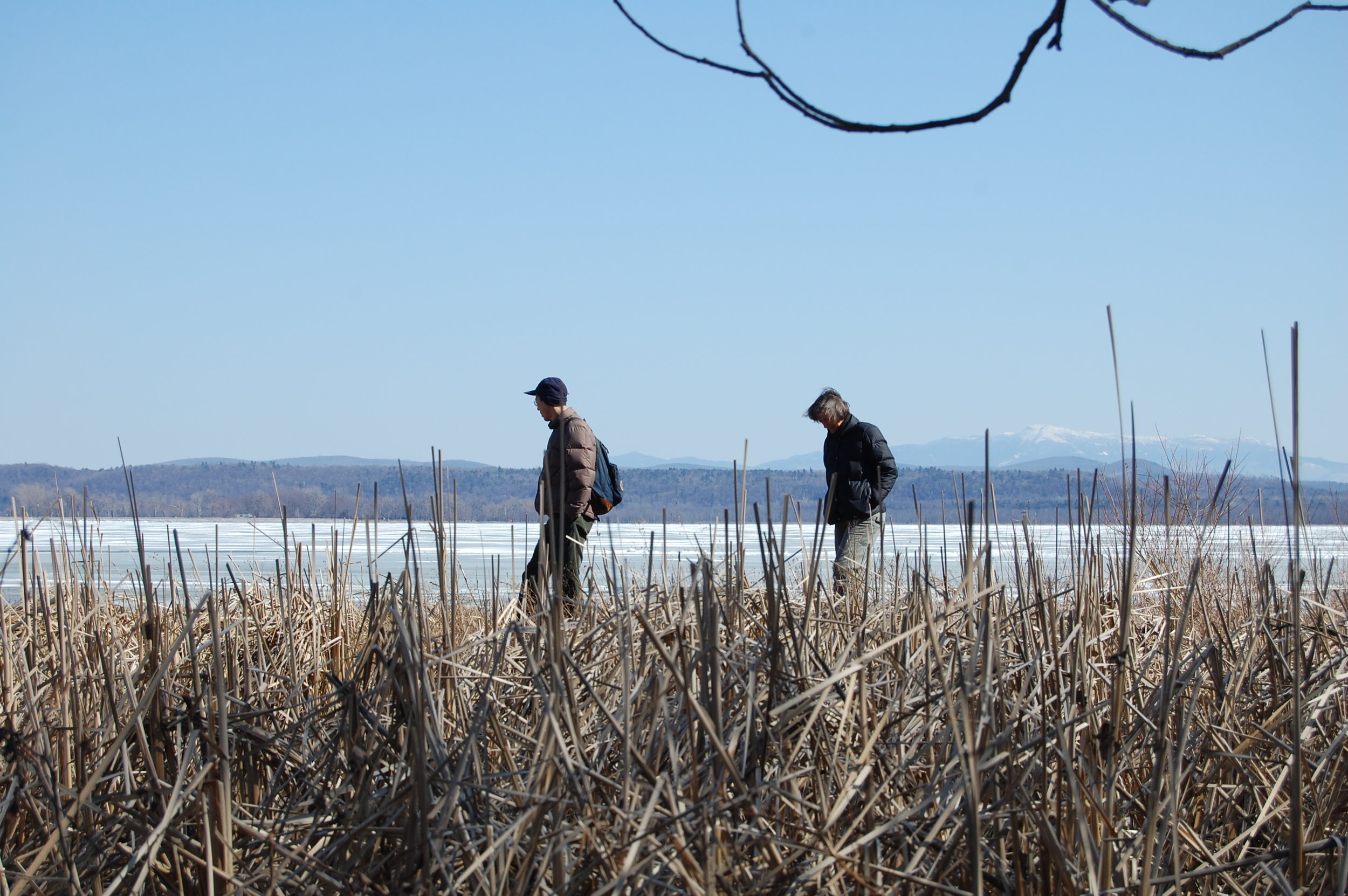 Round Pond 2012 271.JPG