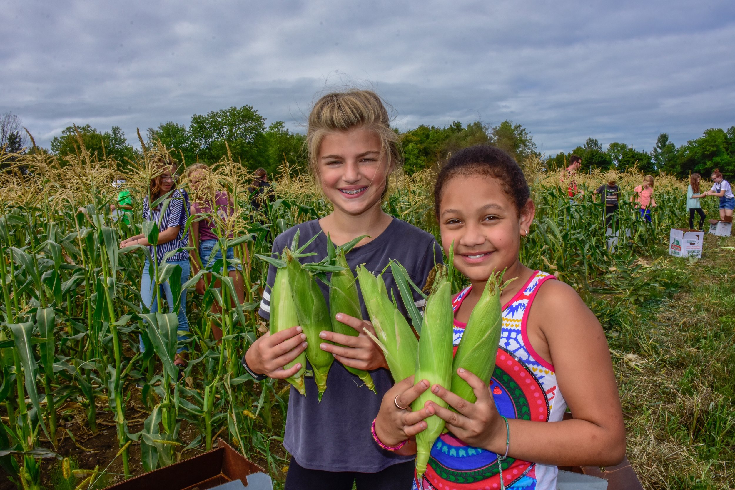 Learning about Hunger while Helping their Neighbors