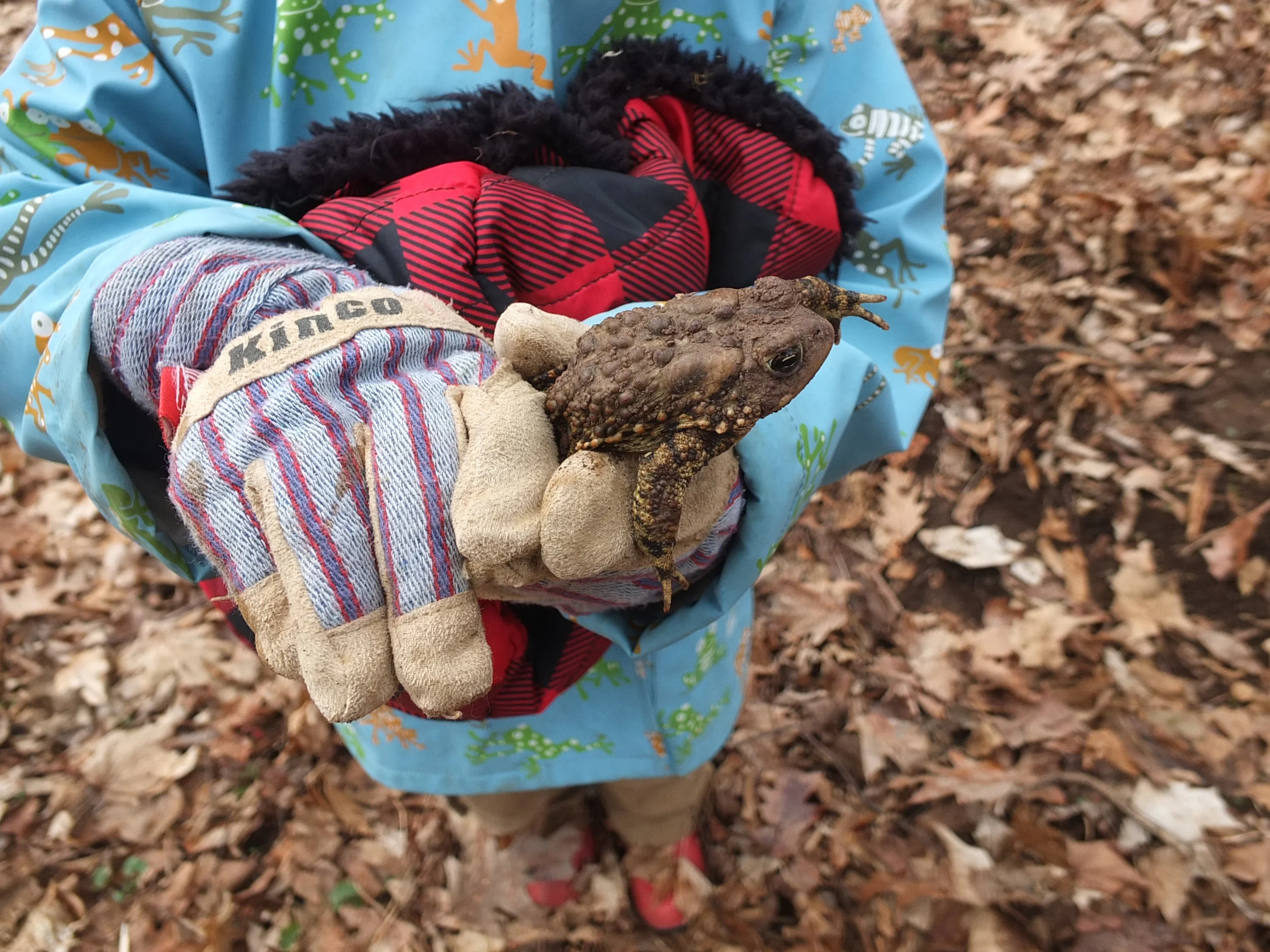 Time to be wild and explore the woods and other natural places is an important part of childhood in a rural community like South Hero.