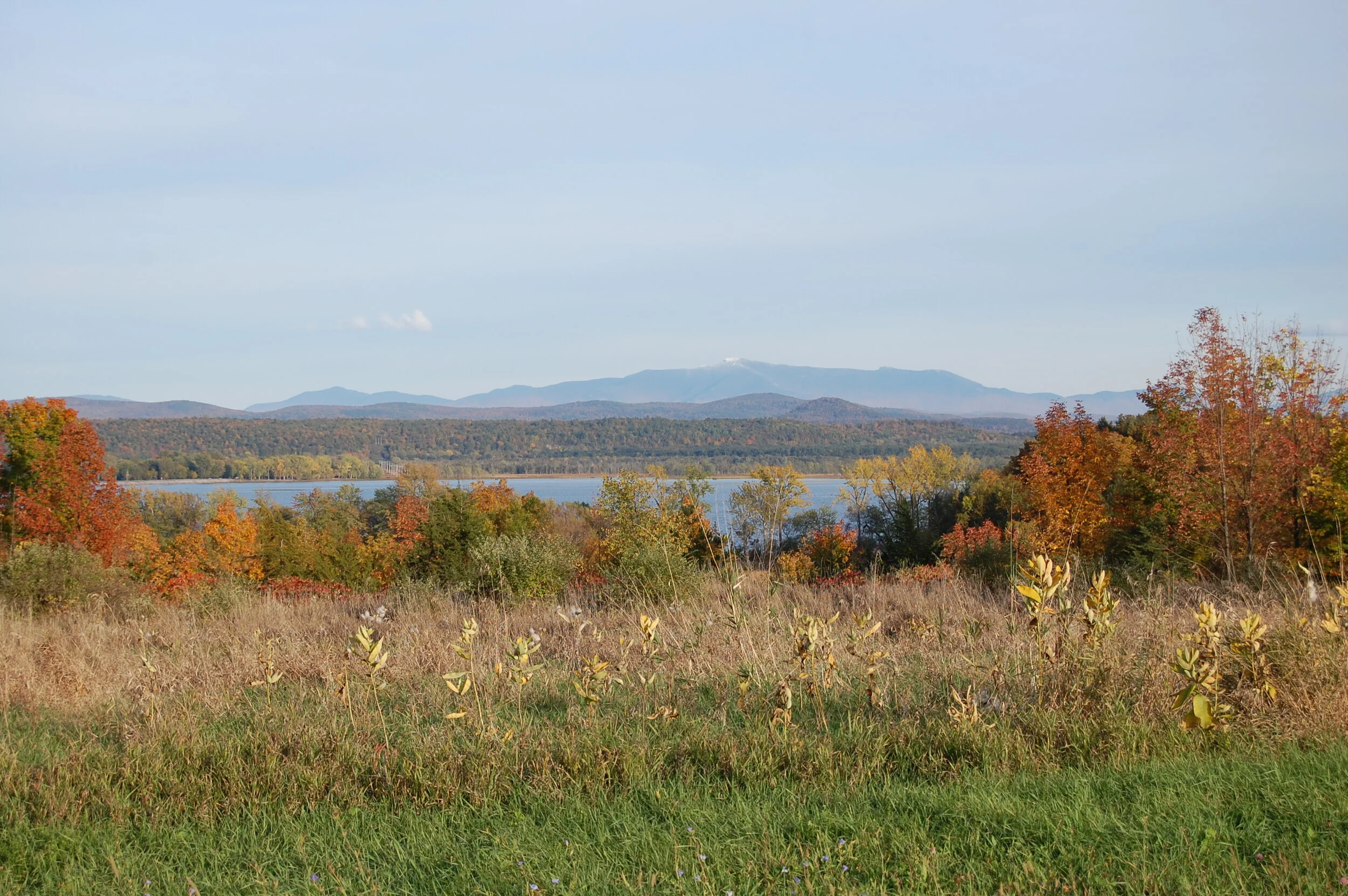 A note on racism and equity in our work