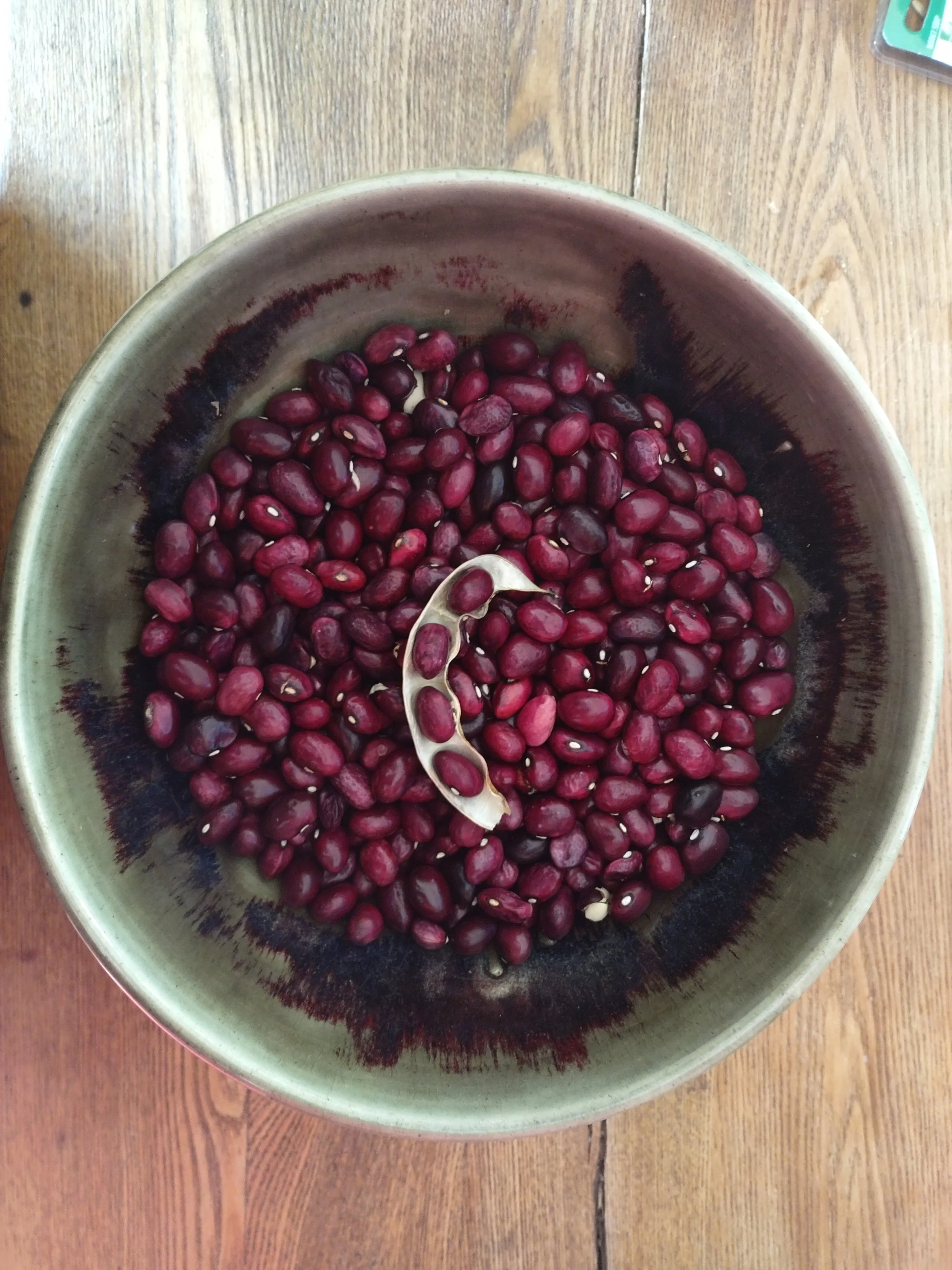 Bringing Abenaki Knowledge to the Classroom