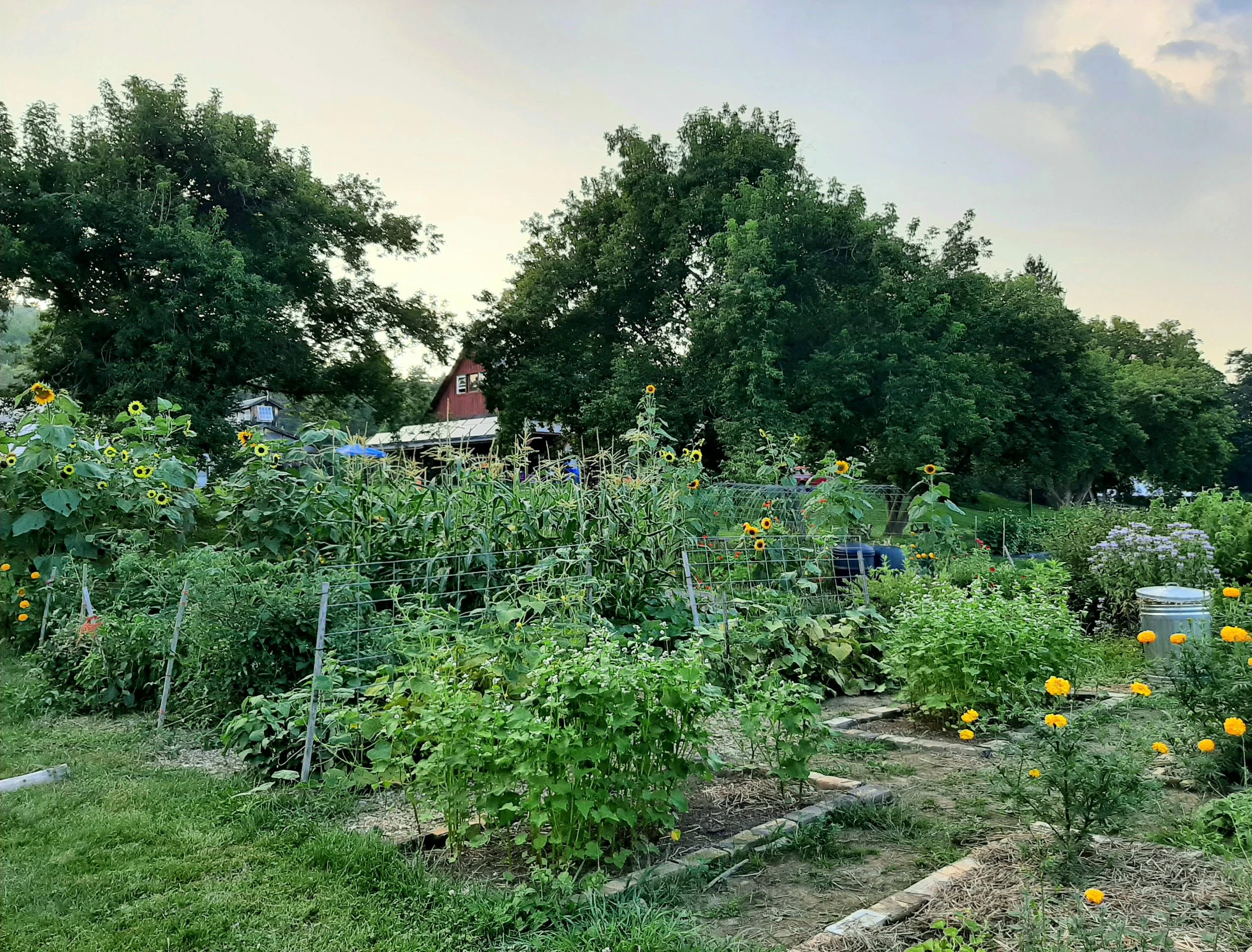 Winter Wednesdays: Gardener's Gathering planning session