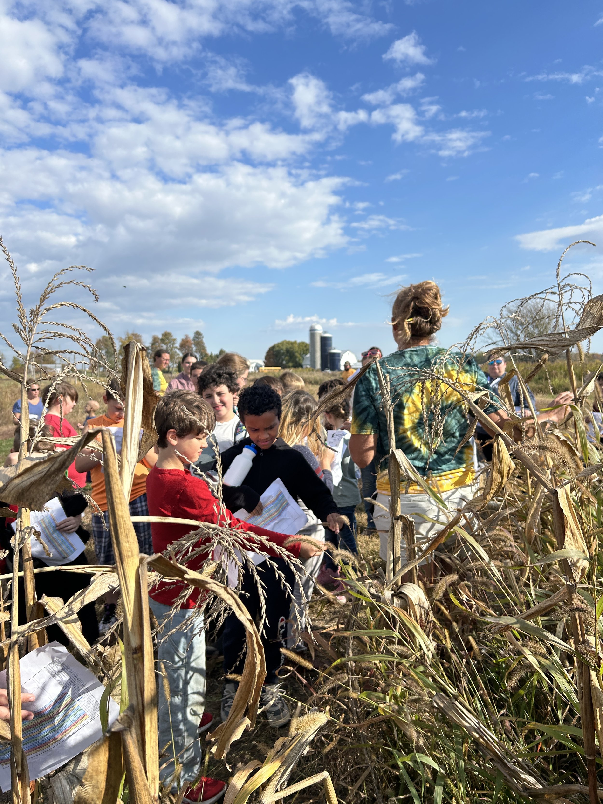Students standing in a farm field looking at corn