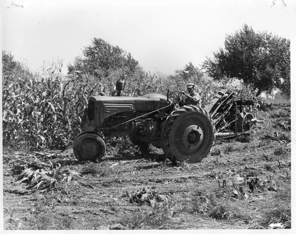 Bernard Lalumiere_tractor and corn.jpg