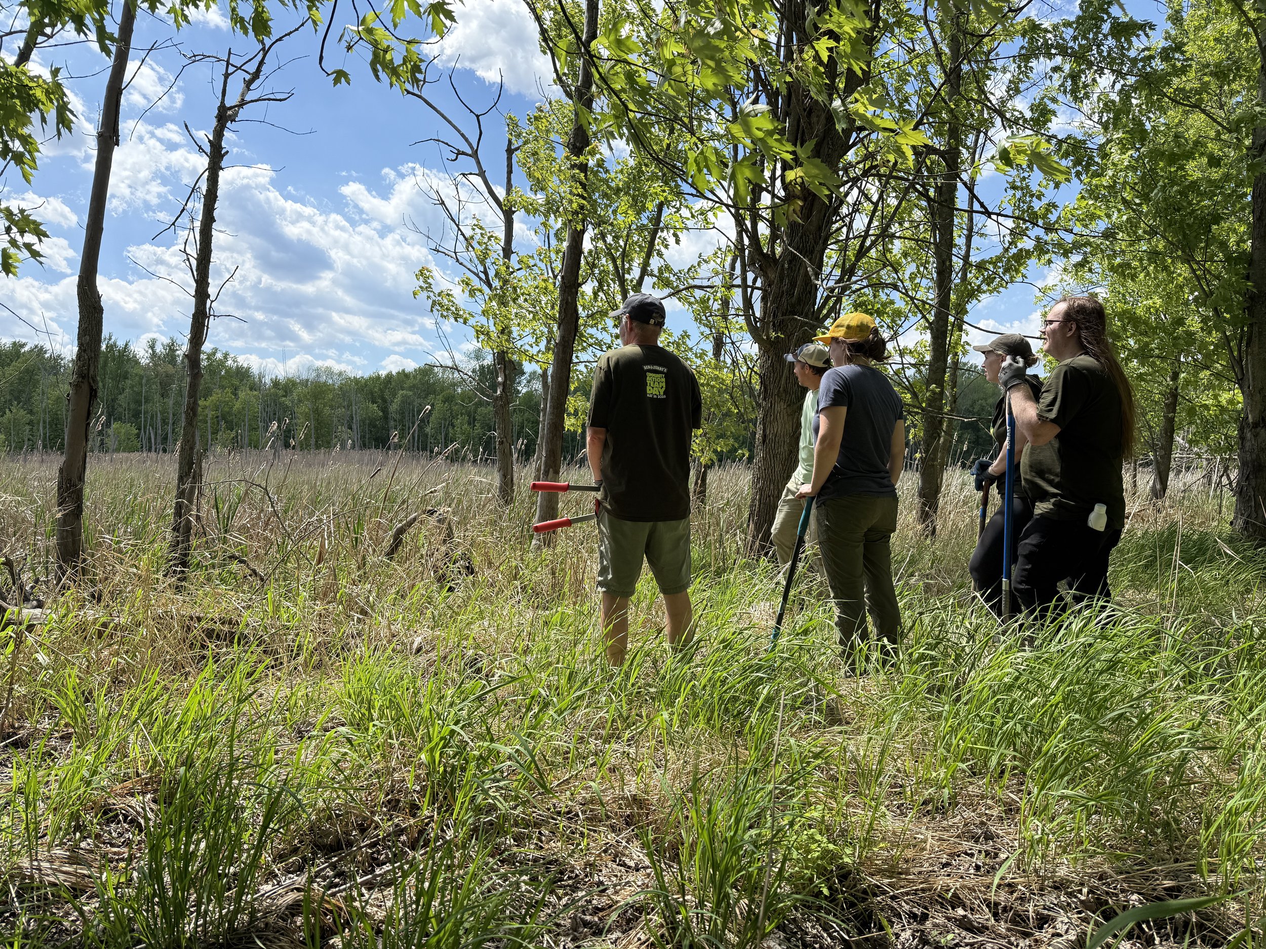 Volunteer Work Party: Islandacres Trail Preparation