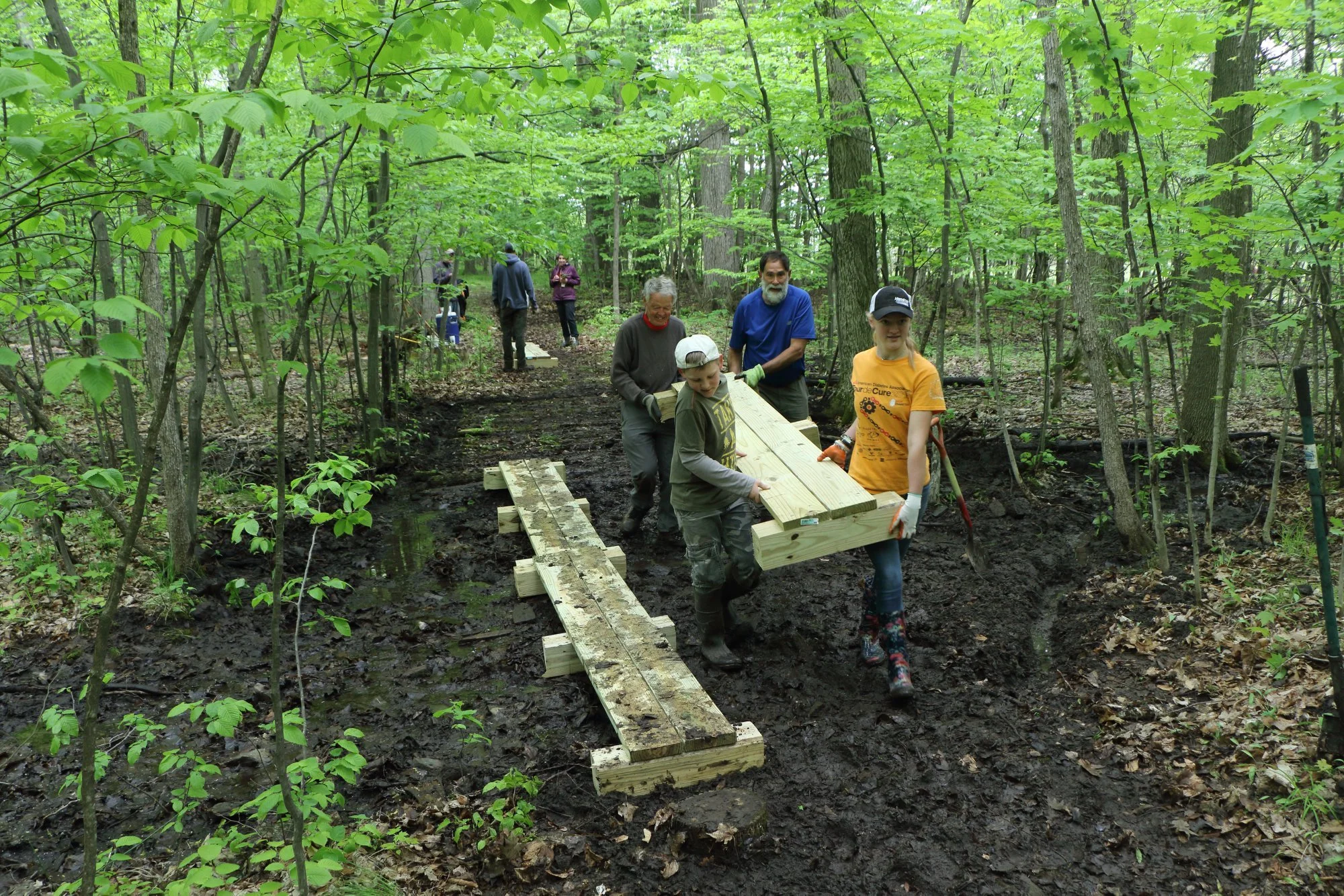 Volunteer Work Party: Boardwalk Construction
