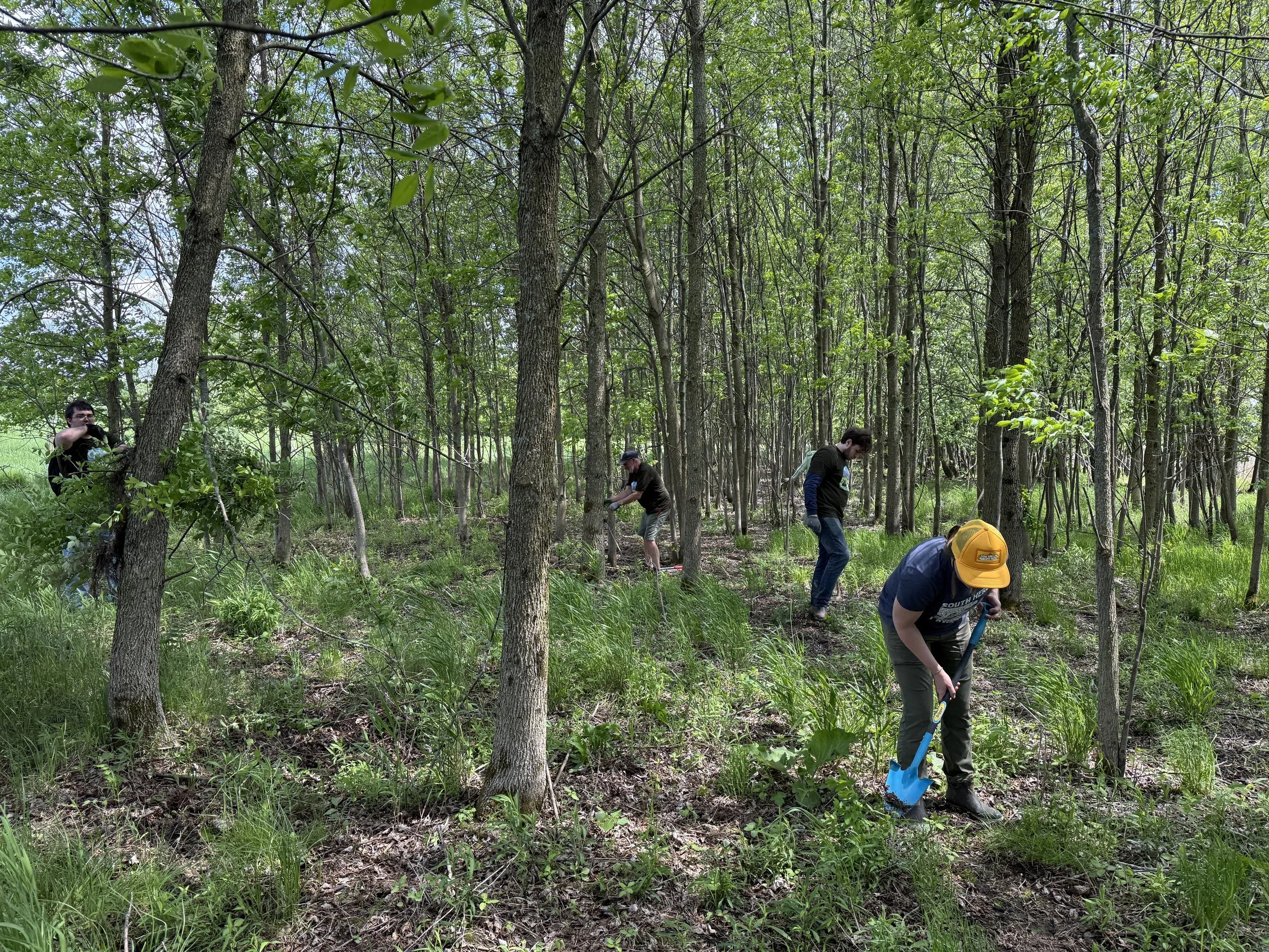 Volunteer Work Party: Islandacres Trail Preparation