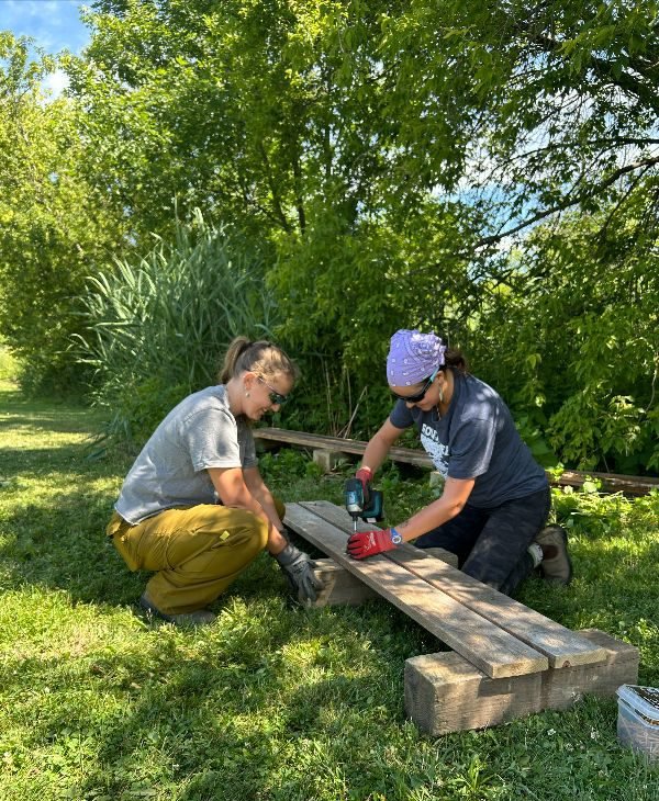Volunteer Work Party: Boardwalk + Benches Construction 