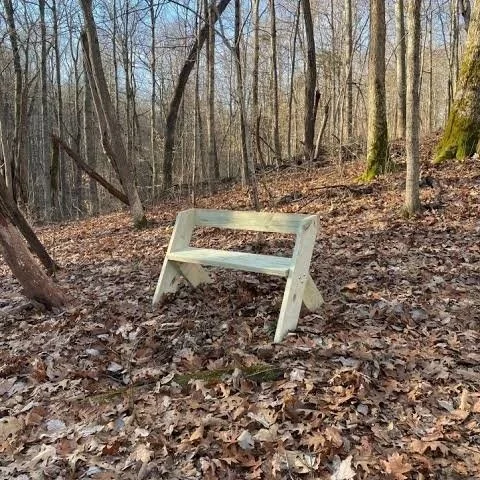 Volunteer Work Party: Boardwalk + Benches Construction 