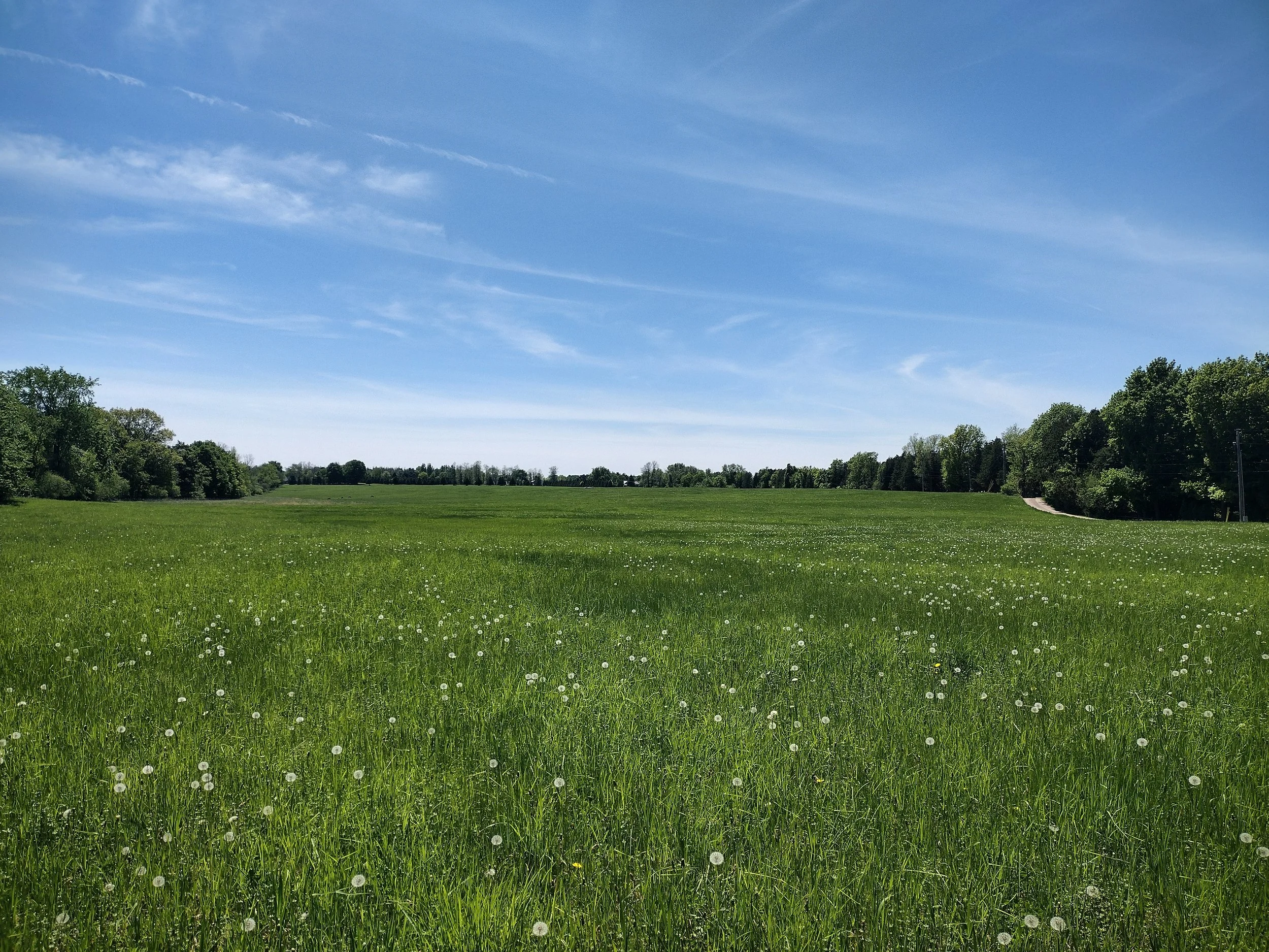 Kibbe Farm Tour and Paddle