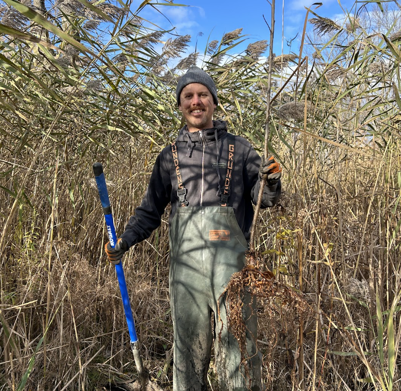 Volunteer Work Party: Tree Planting at Islandacres Trail