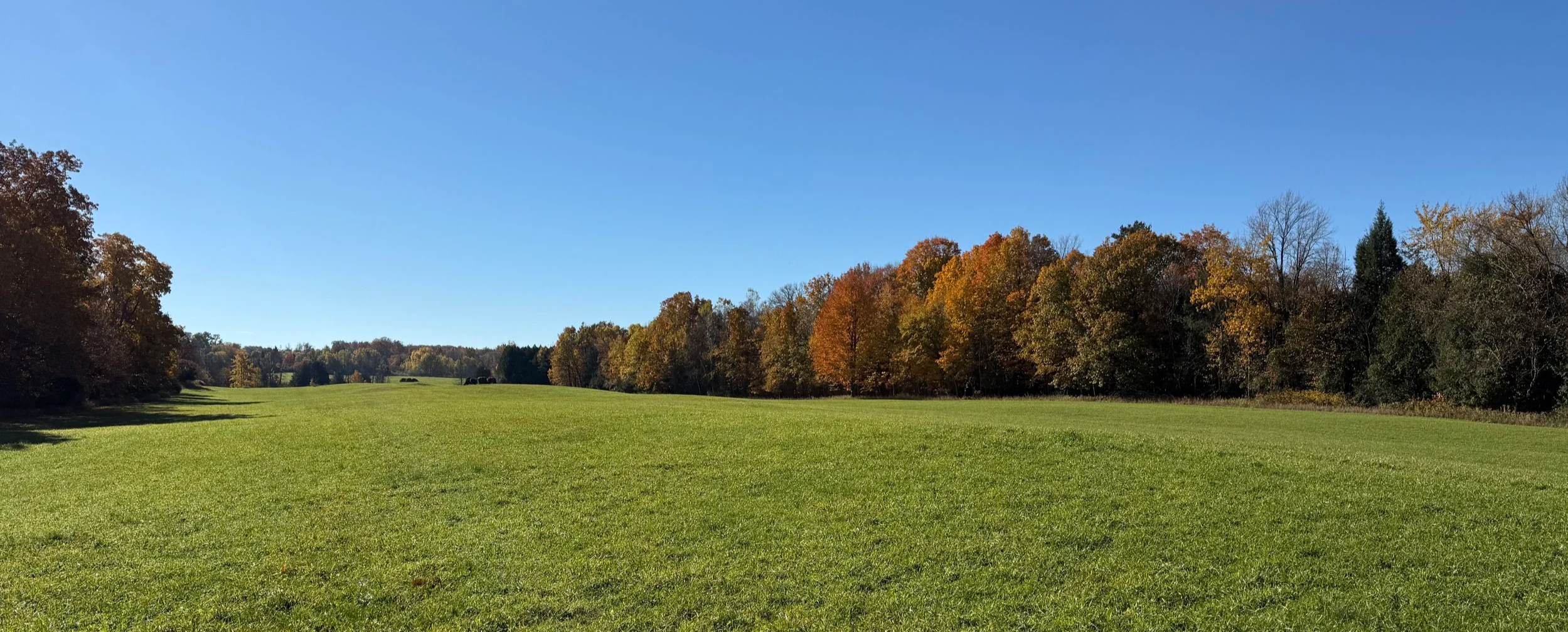 panoramic view of rolling green fields under a blue sky, with trees in autumnal colors on each side