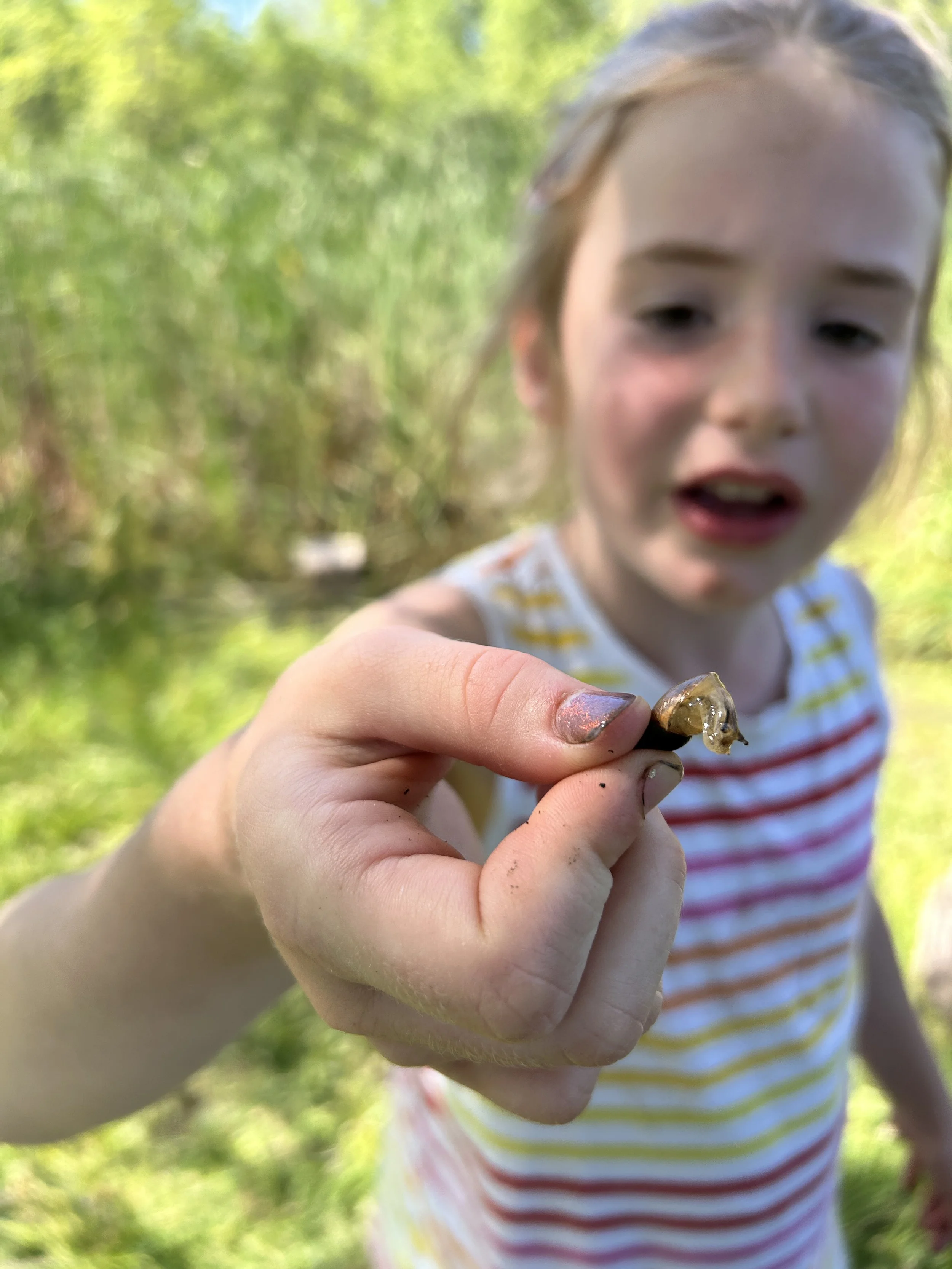 young camper holding a snail up close to the camera
