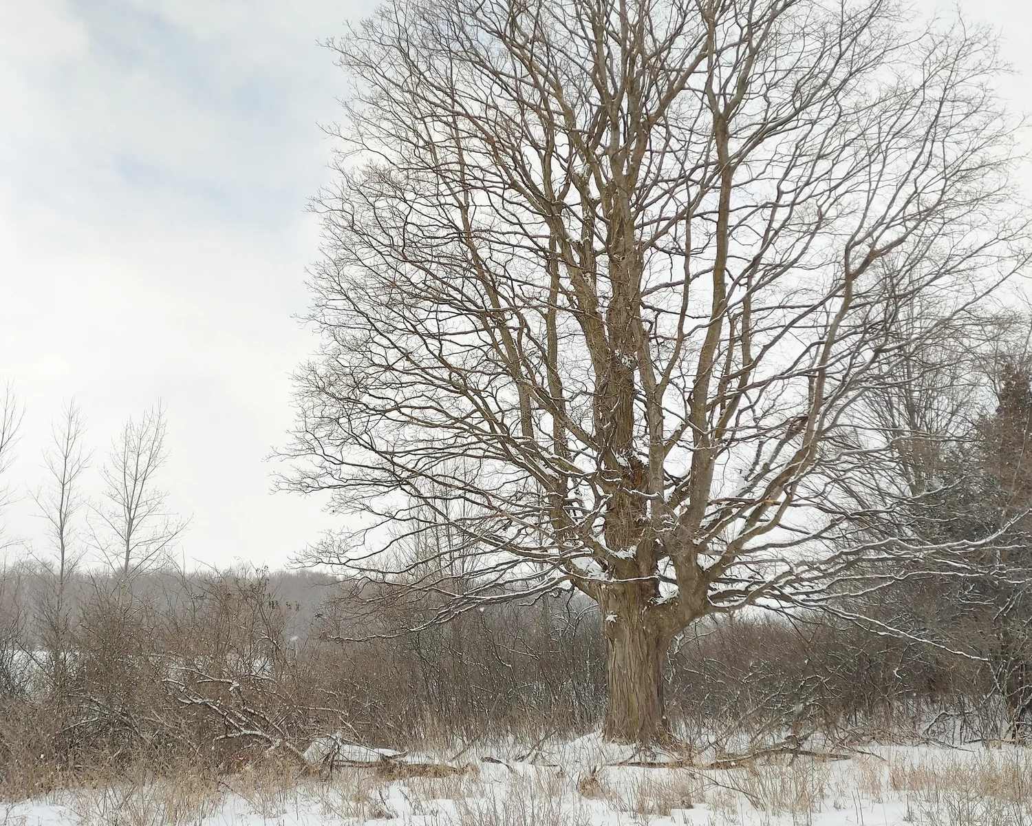 Natural Areas — South Hero Land Trust