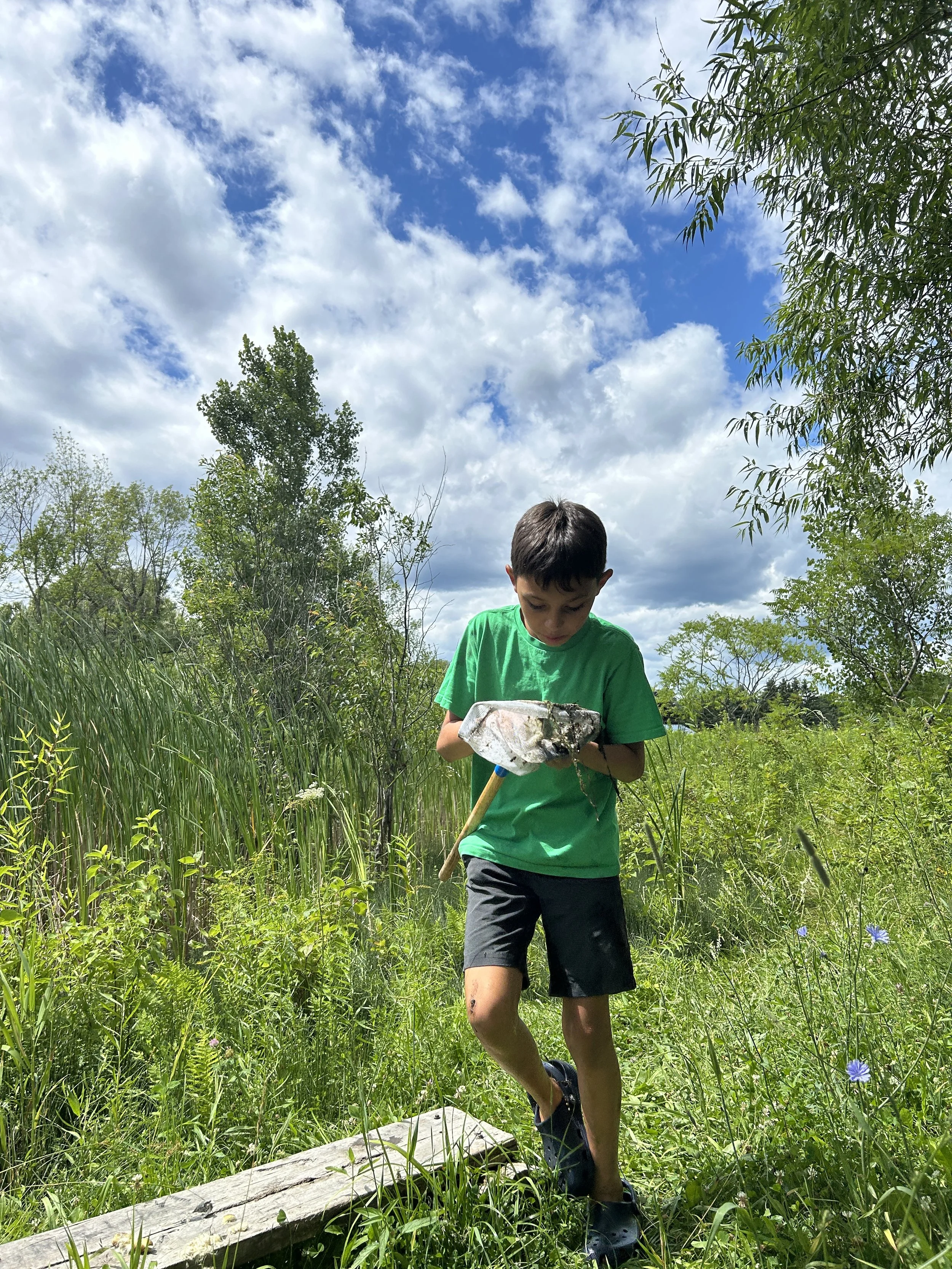 summer camper examining something he scooped up in a net while exploring a marsh