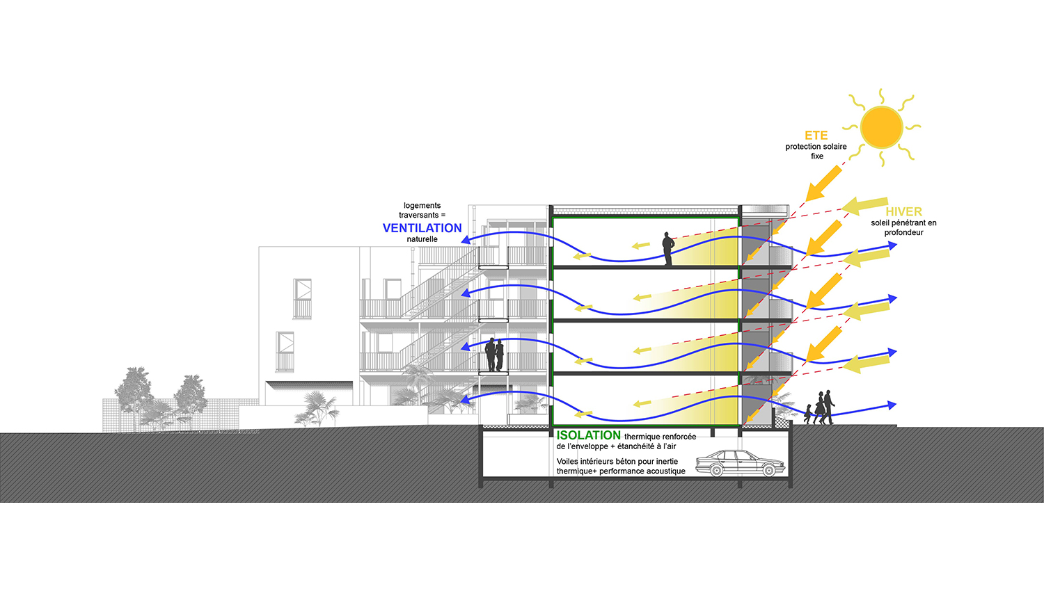 Bélandre-coupeBioClim-collectif-logement-alterlab.jpg