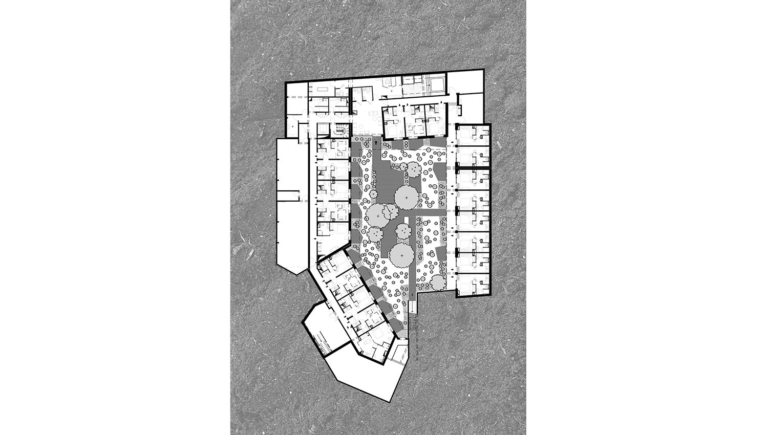 Abalone-17-collectif-logement-alterlab.jpg