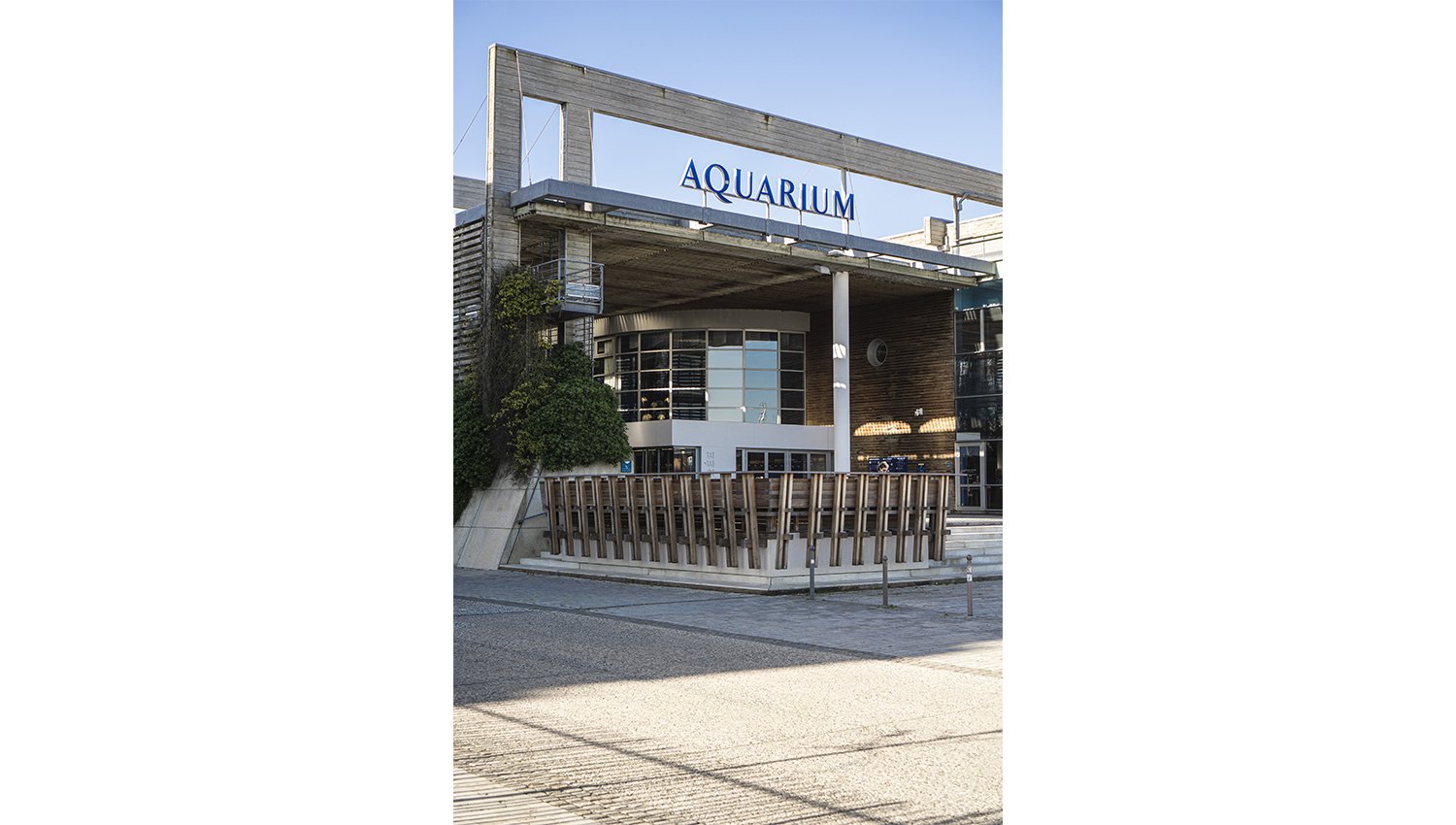 aquarium-13-commerce&tertiaire-equipement&tertiaire-alterlab.jpg