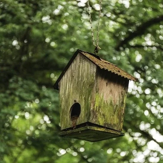ROOTE station forestière de Benon