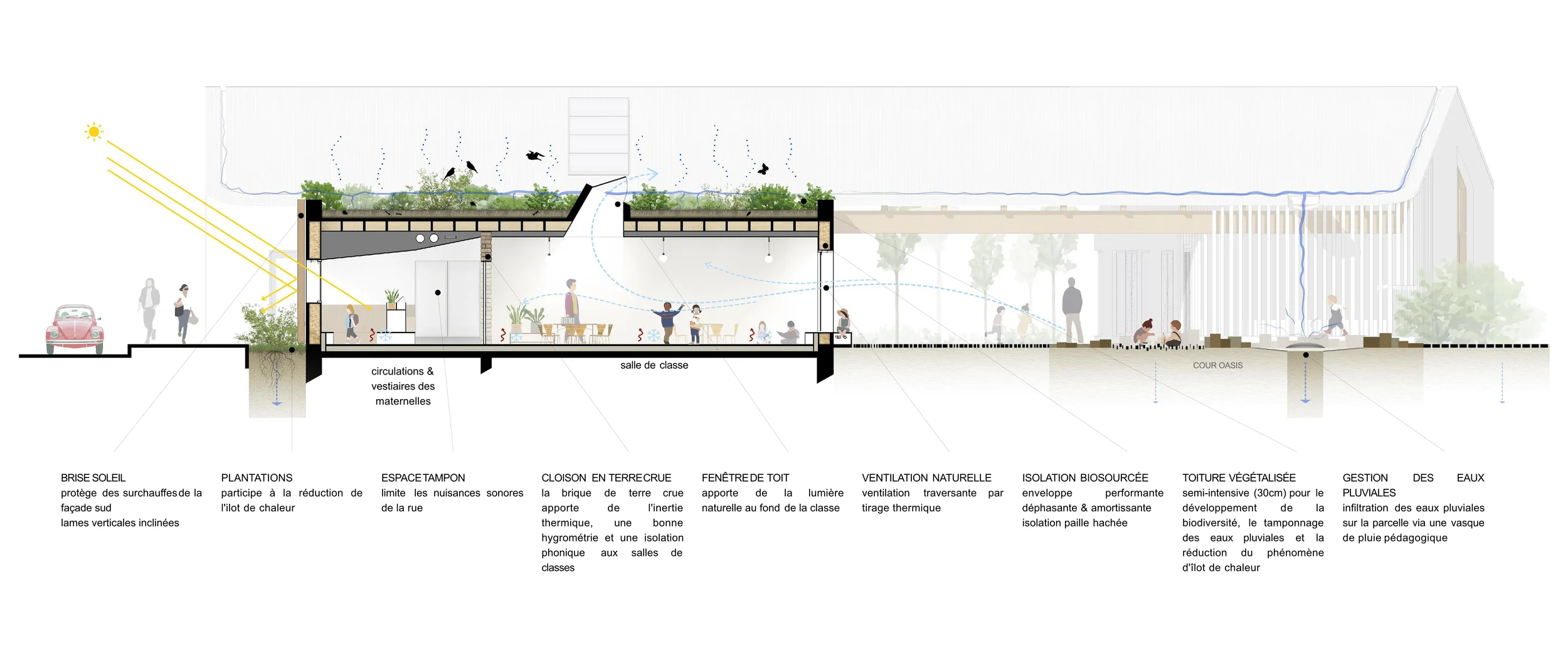 Coupe bioclimatique.webp