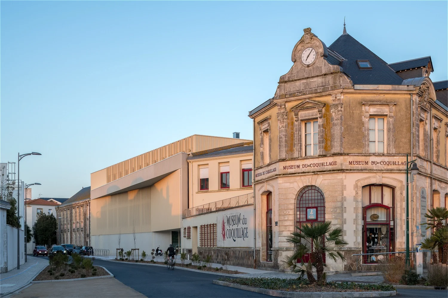 Gymnase-Olonne-sport&culture-alterlab-102.webp