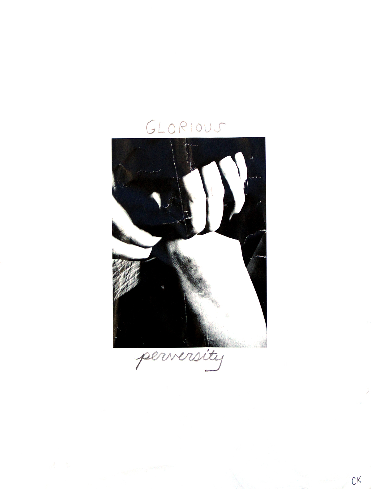 glorious perversity - digital photo print and pencil on paper