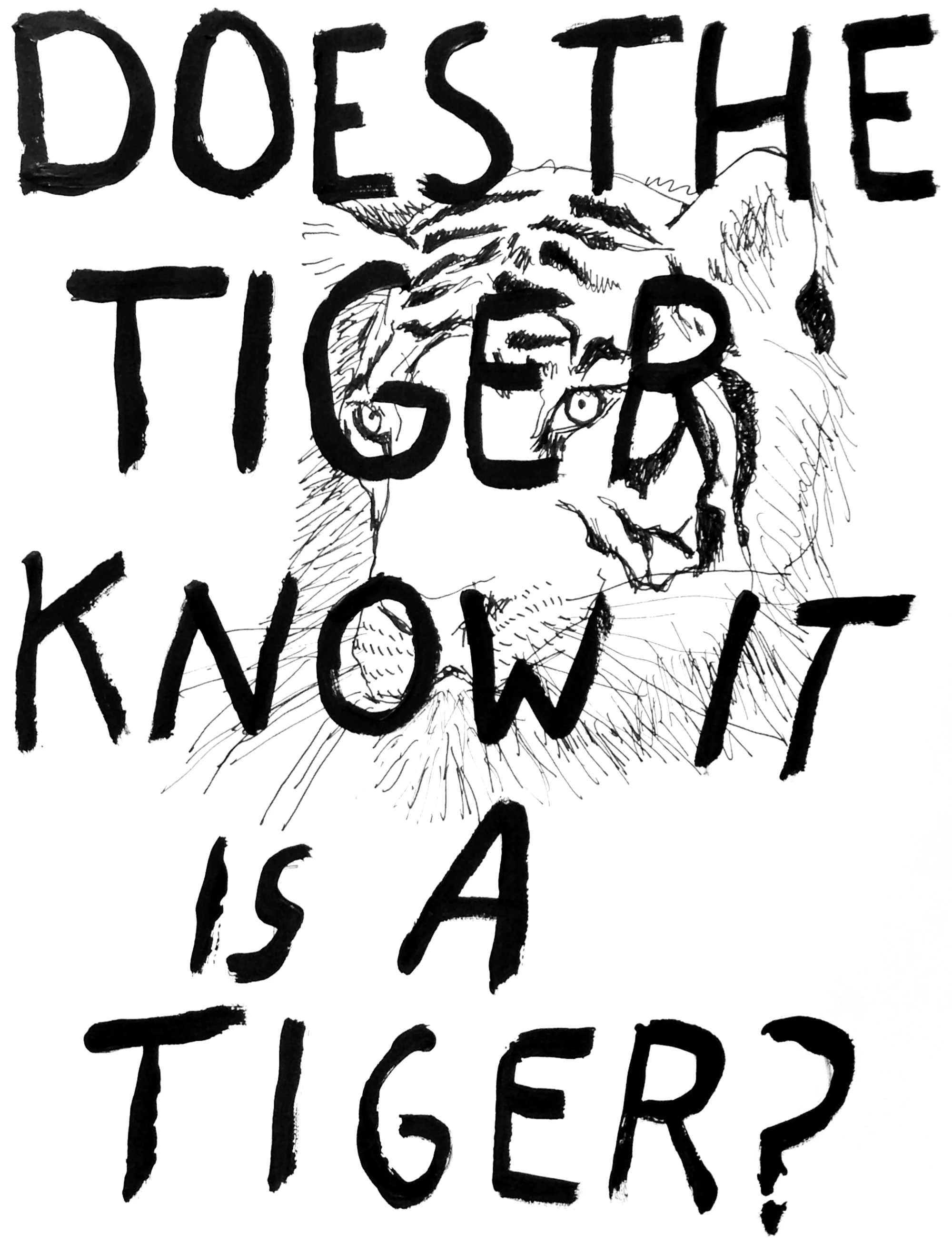 the tiger - ink on paper