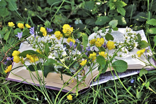 Midsummer Day Celebrations: Miscellany of music, drama and poetry (Read more) . Friday 21st June 2019.