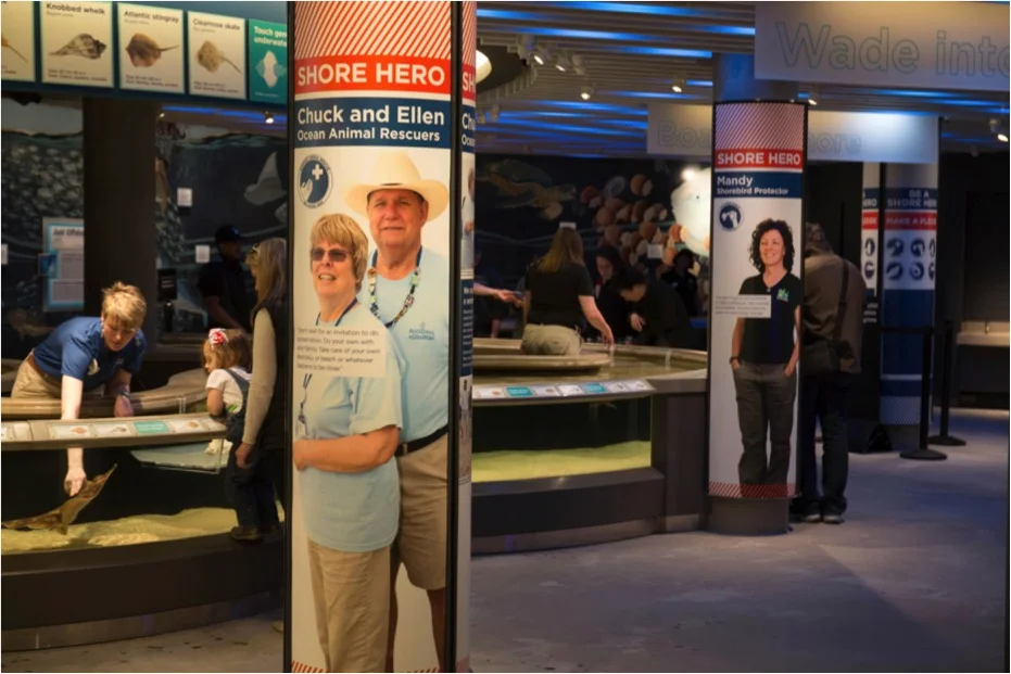 Living Seashore National Aquarium in Baltimore, Maryland