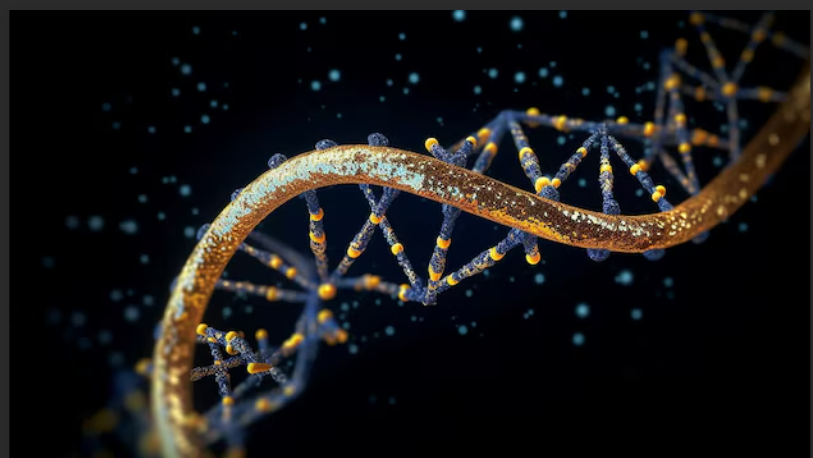 Screenshot 2026-03-06 155422.png