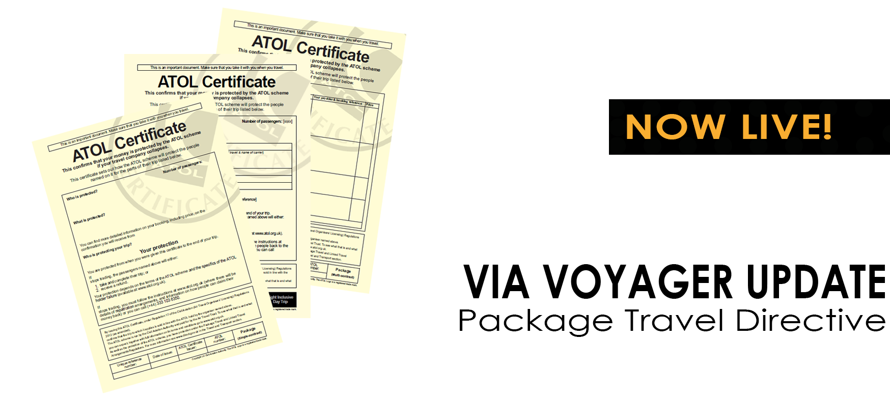 package-travel-directive2.png