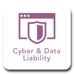 Cyber _ Data Liability.png