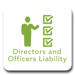 Directors and officers liability.png