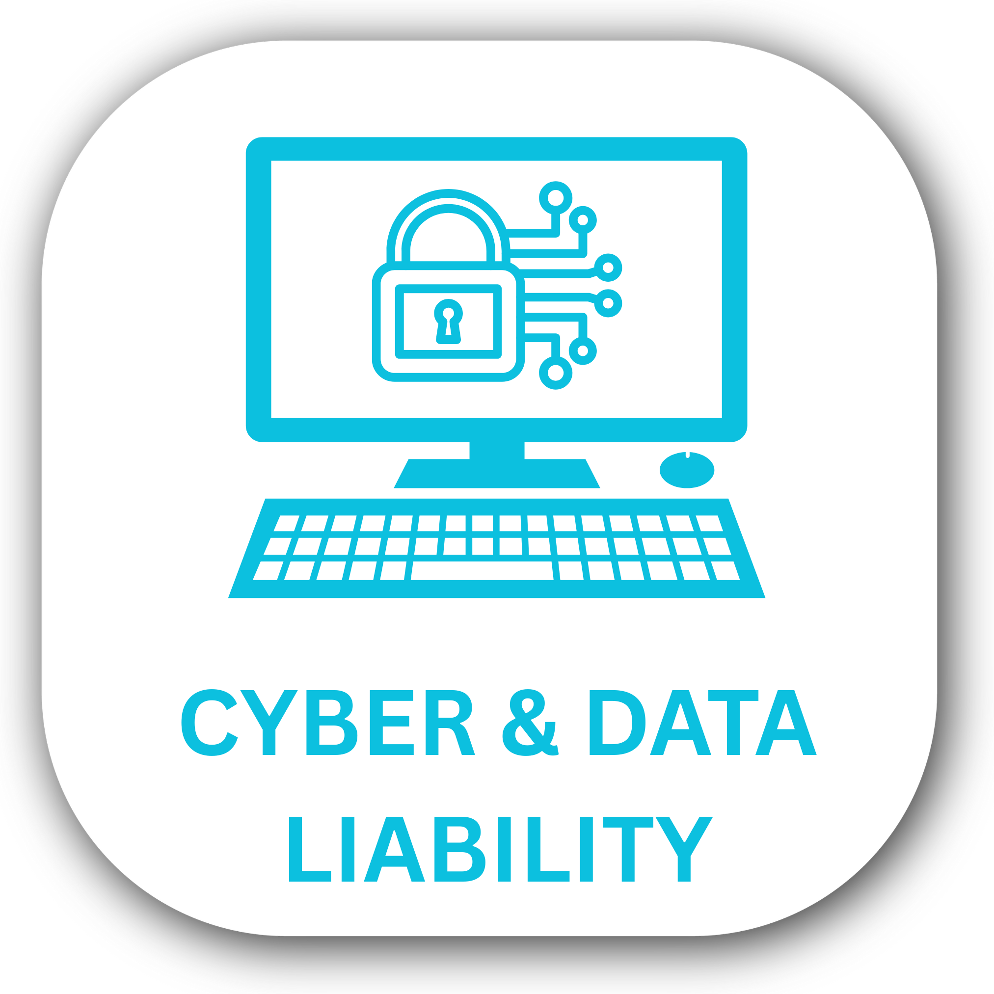 Cyber and Data Liability Insurance