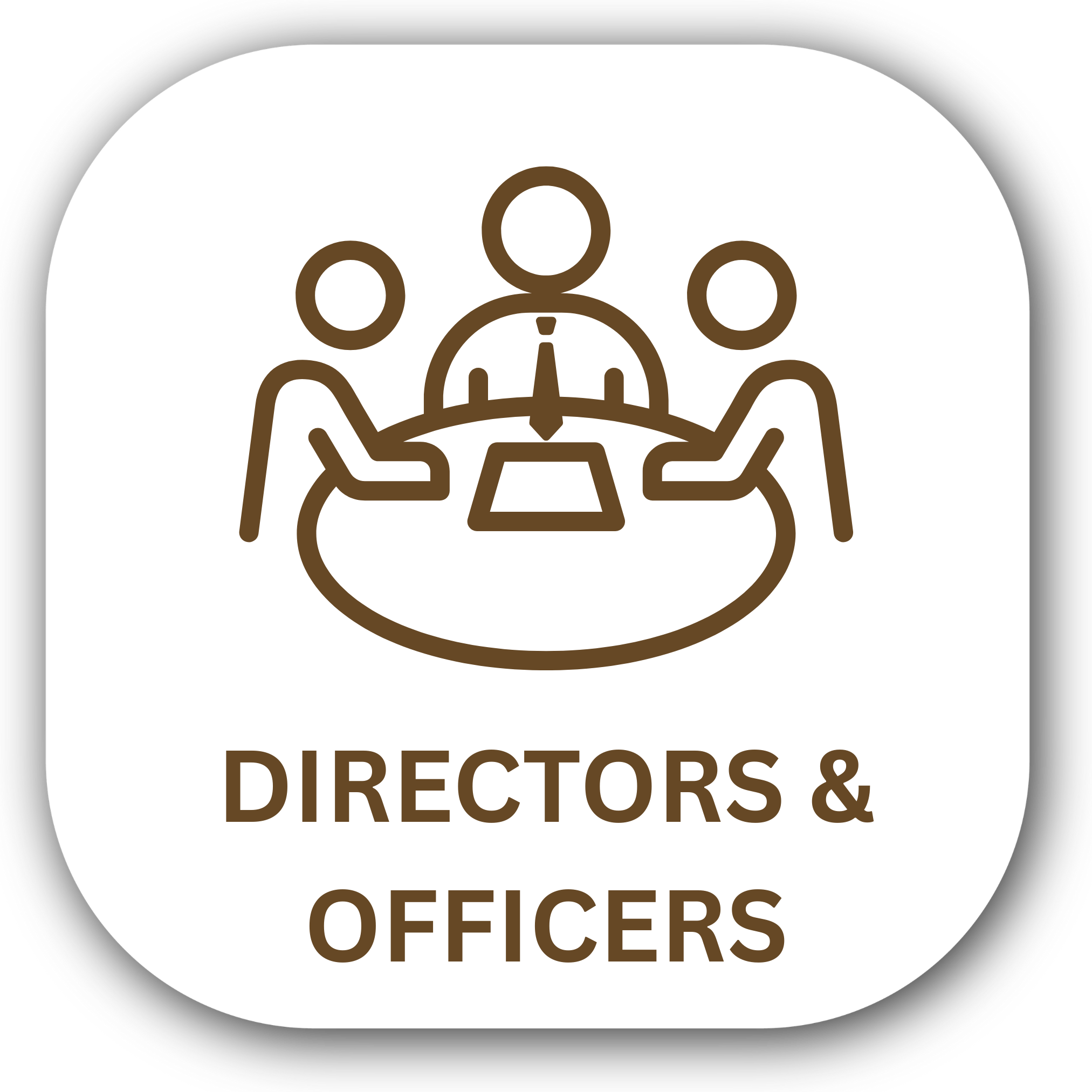 Directors & Officers Liability Insurance