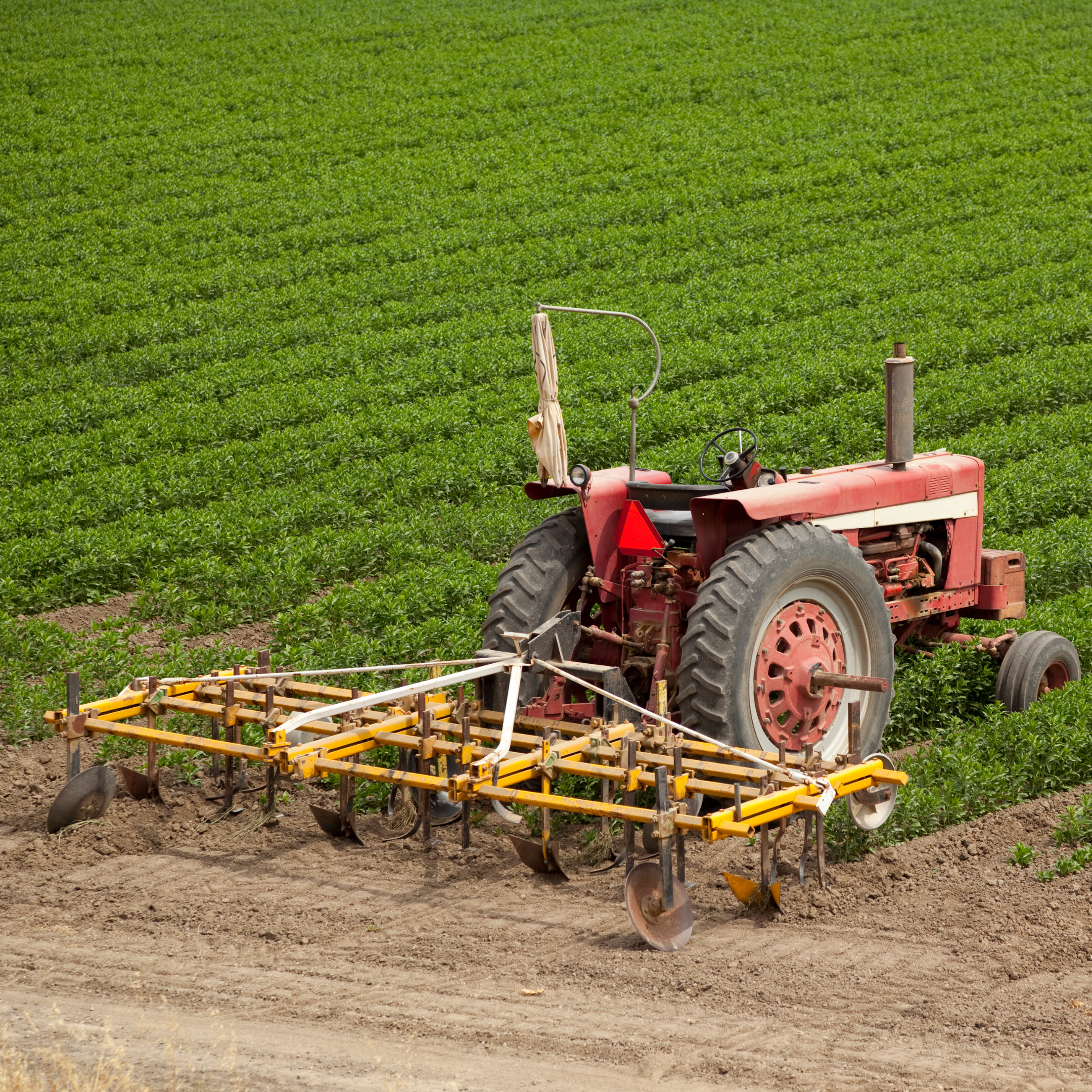 Tractor on a farm
