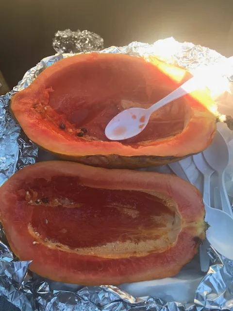 good food conspiracy