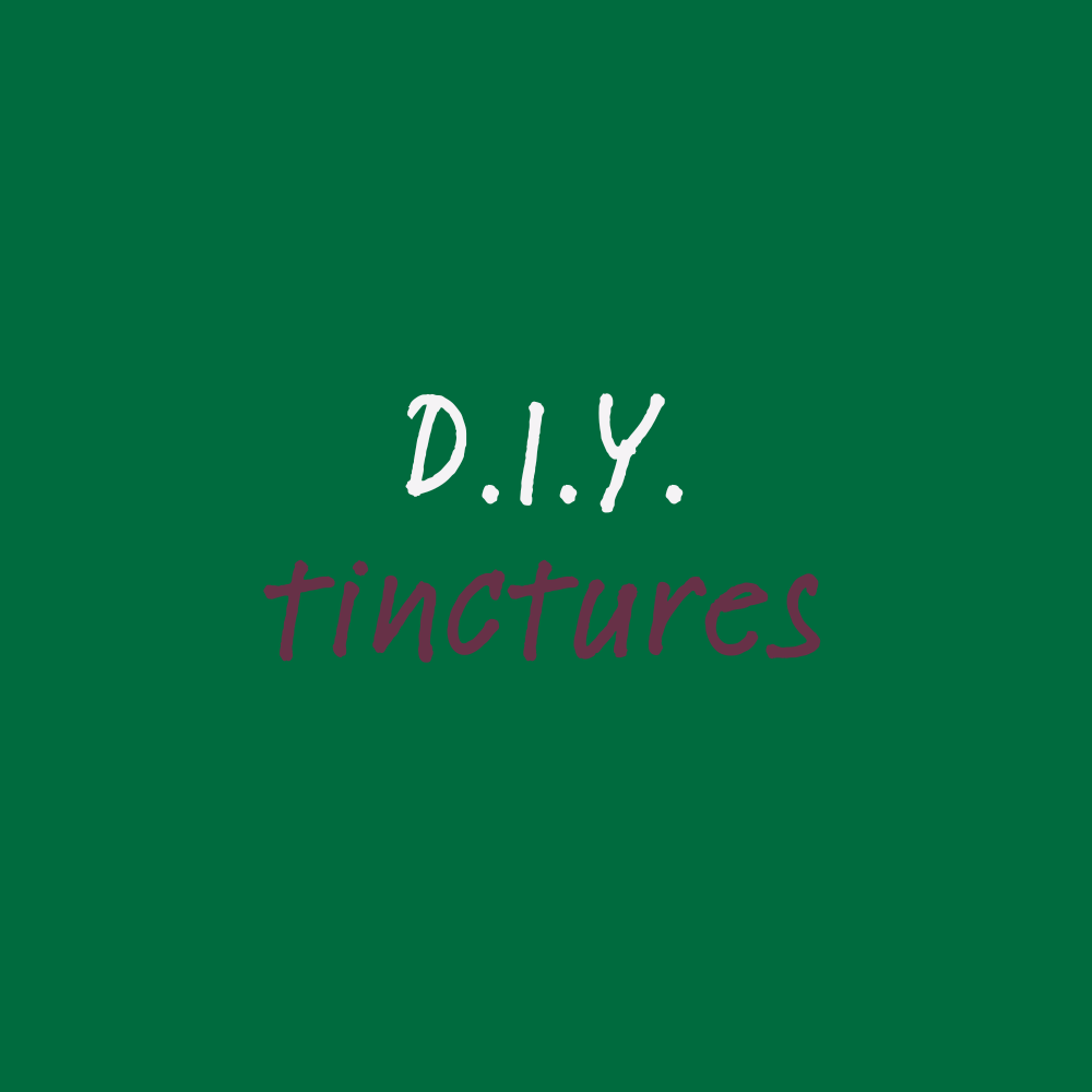 bloghomepage (8).png