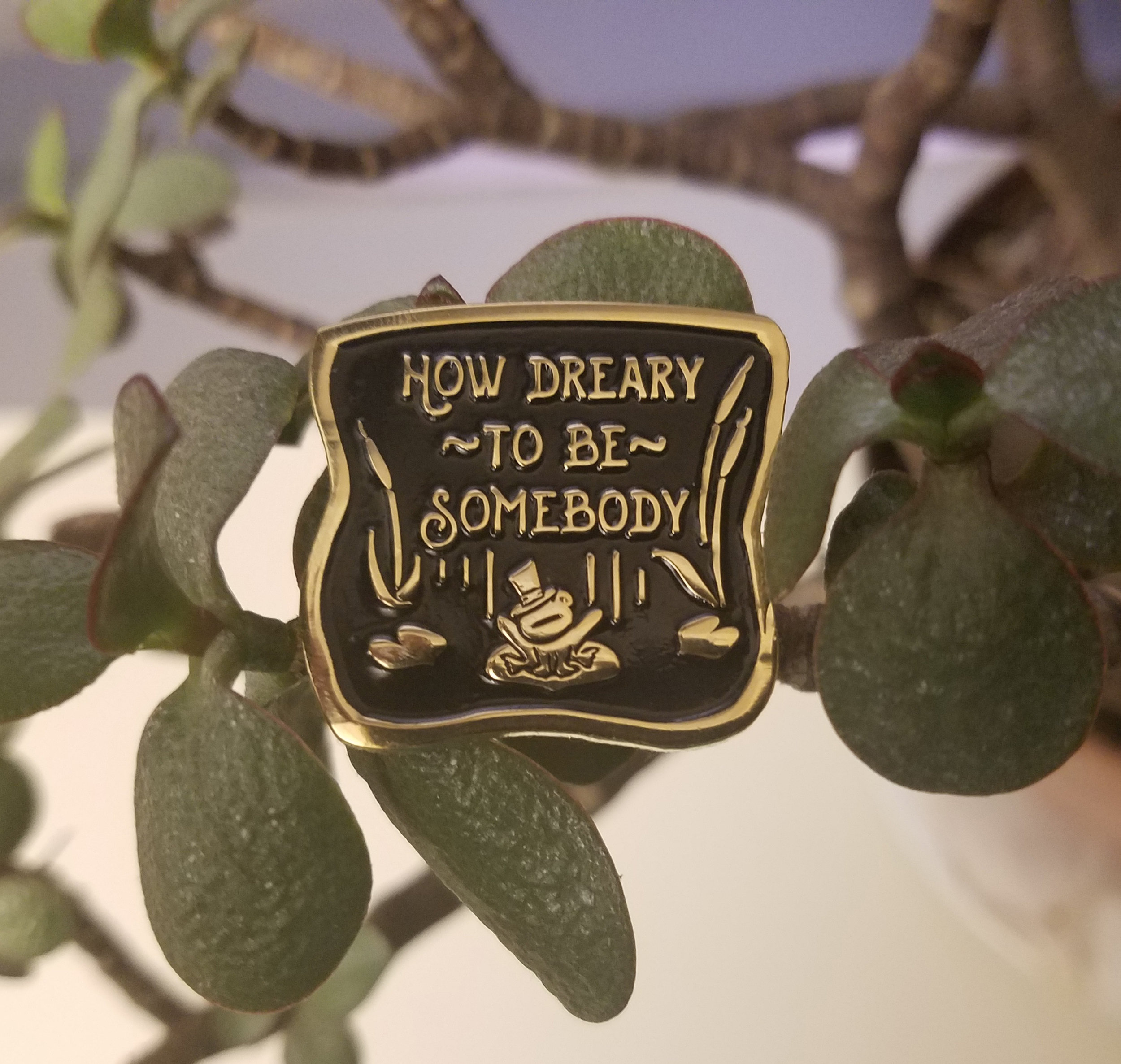 How Dreary Plant.jpg